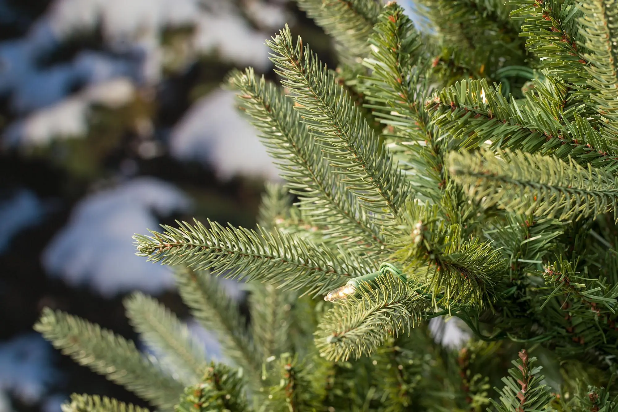 7ft Pre-lit Washington Valley Spruce Life Like Artificial Christmas Tree 4 7ft Pre-lit Washington Valley Spruce Life Like Artificial Christmas Tree - Image 2