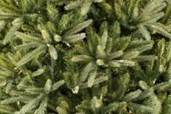 6ft Pre-lit Washington Valley Spruce Life Like Artificial Christmas Tree 9 6ft Pre-lit Washington Valley Spruce Life Like Artificial Christmas Tree -Twinkly Shop 05r5036 5