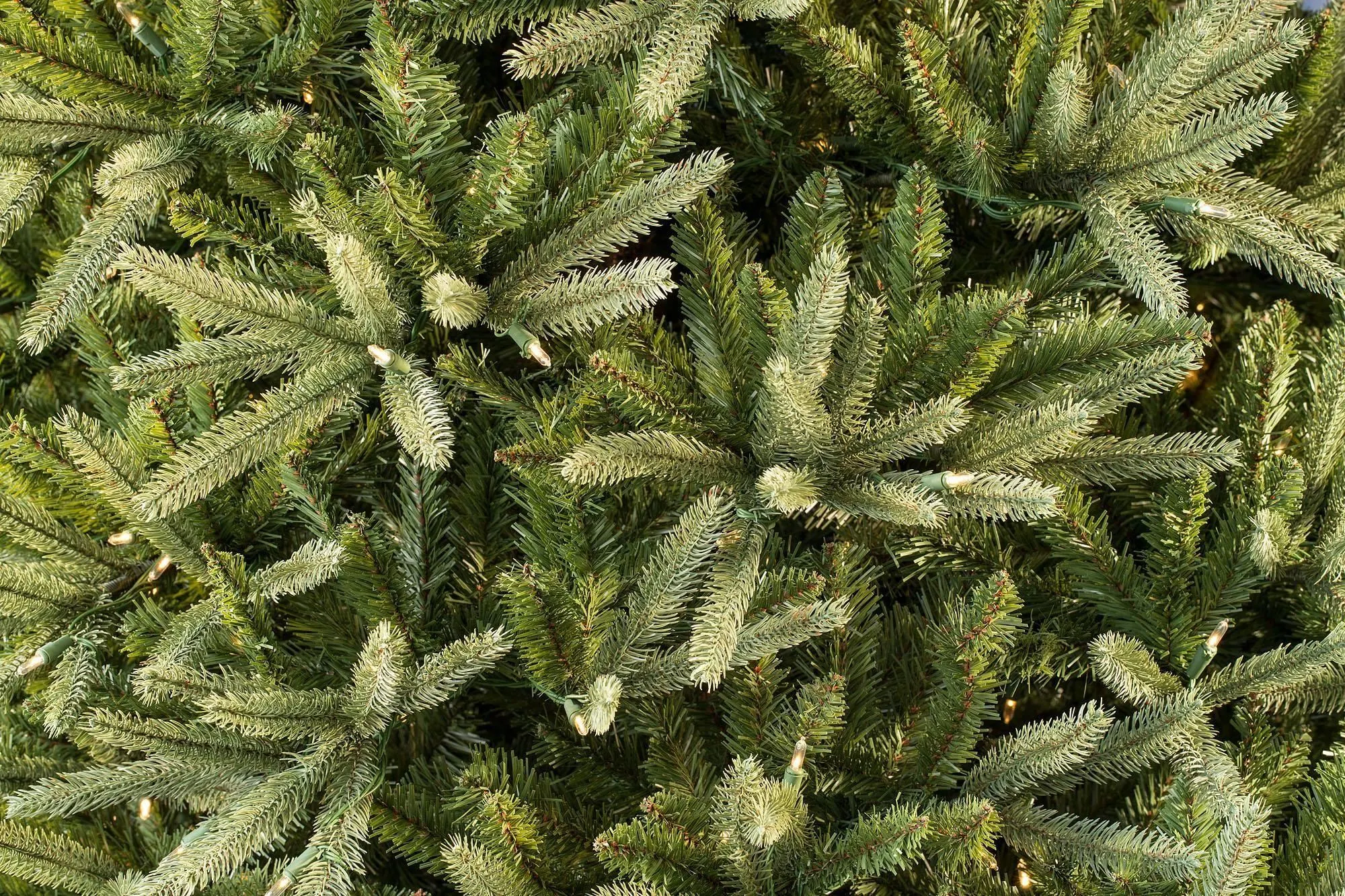 6ft Pre-lit Washington Valley Spruce Life Like Artificial Christmas Tree 5 6ft Pre-lit Washington Valley Spruce Life Like Artificial Christmas Tree - Image 3