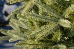 6ft Washington Valley Spruce Life Like Artificial Christmas Tree -Twinkly Shop 05r5044