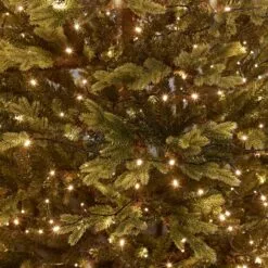 600 LED Christmas Lights (30m Lit Length) -Twinkly Shop 1aaf80e0204cfc23eb614ff85b4cad7578ac5936d31f347524dd7966a4a7d7a4