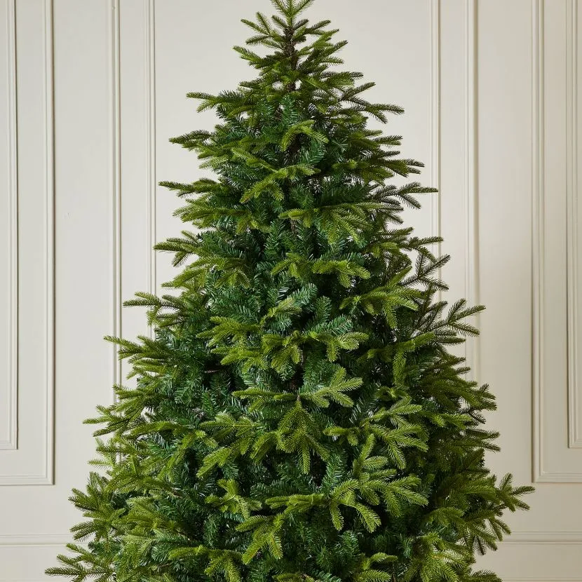 6ft Brewer Spruce Artificial Christmas Tree 5 6ft Brewer Spruce Artificial Christmas Tree - Image 3