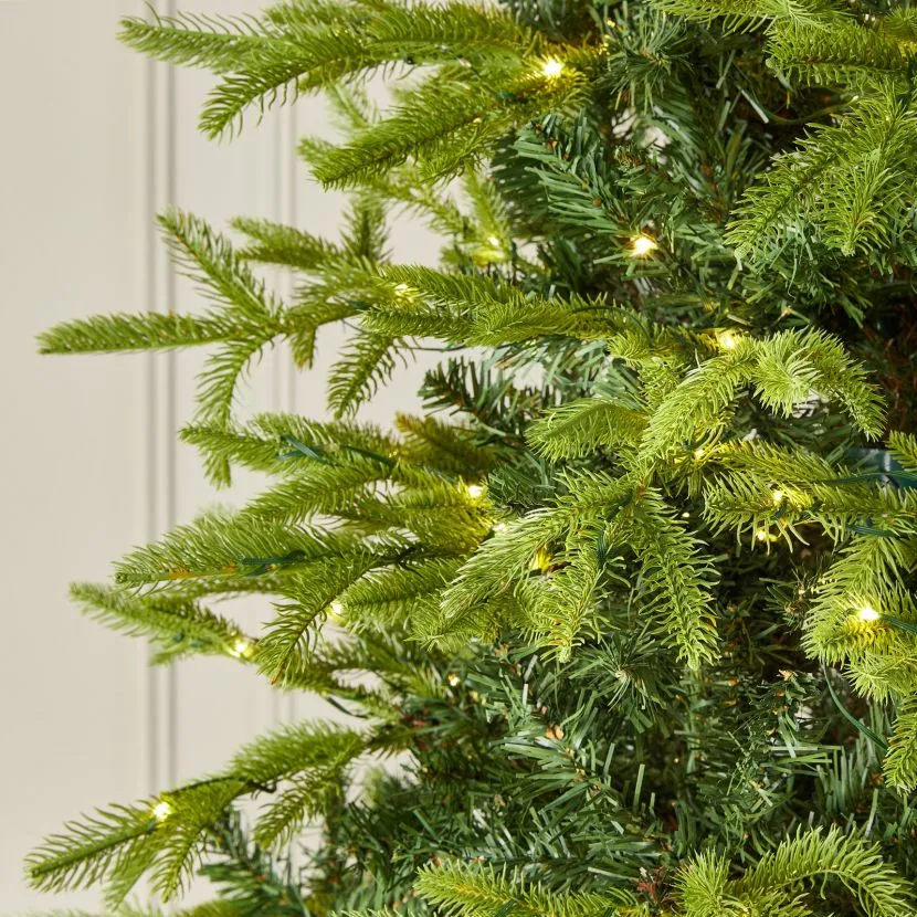 6ft Brewer Spruce Artificial Christmas Tree 15 6ft Brewer Spruce Artificial Christmas Tree - Image 13
