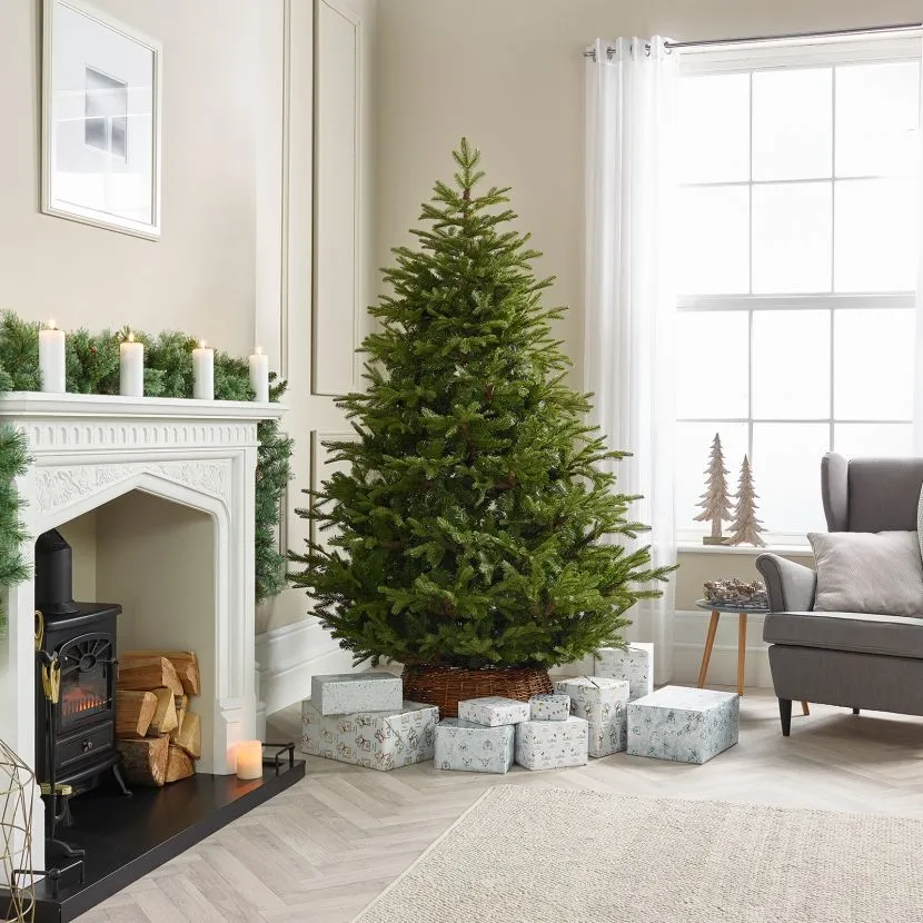 Kaemingk Everlands - 10ft Mountain Spruce Artificial Christmas Tree 3 Kaemingk Everlands - 10ft Mountain Spruce Artificial Christmas Tree