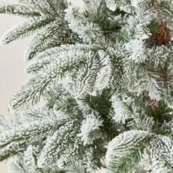 7ft Nobilis Fir Artificial Christmas Tree 26 7ft Nobilis Fir Artificial Christmas Tree -Twinkly Shop 32ee2f3f69b69fba67a8718de057acd03ea2c7f34e184b634074bd6e04622672 1