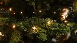 750 LED Compact LED Christmas Tree Lights (18.7m Lit Length) -Twinkly Shop 3621103a62a3d3cfde40a801f5ddfea08ba94c13fa4c83e277d153a9d874655a 3