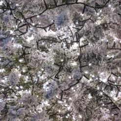 750 LED Compact LED Christmas Tree Lights (18.7m Lit Length) -Twinkly Shop 366bf0dd9faa95d18c68762ef98de7c2c738f82534b7873946a011aed1d6ba43 4