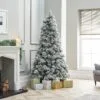 5ft Snowy Virginia Pine Artificial Christmas Tree 1 5ft Snowy Virginia Pine Artificial Christmas Tree -Twinkly Shop 3d668466eeabef954055fa85fdbb64cc809ec0ace336def5c279904cf668df97