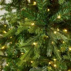 6ft Slim Calgary Fir Artificial Christmas Tree 27 6ft Slim Calgary Fir Artificial Christmas Tree -Twinkly Shop 64e8985b3375e14cd6b5bbba83110621205b43e00c5ebebd3c225b208cb495d3 1