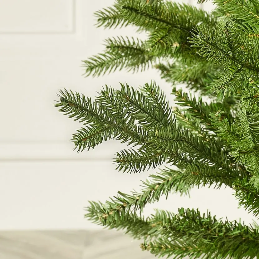 6ft Oregon Pine Artificial Christmas Tree 5 6ft Oregon Pine Artificial Christmas Tree - Image 4