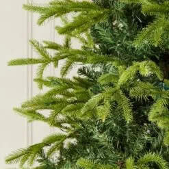 6ft Brewer Spruce Artificial Christmas Tree 33 6ft Brewer Spruce Artificial Christmas Tree -Twinkly Shop 76f8a0135a937d81b4292c4ff1a6bd46d41db73e2b4ddbd196c80203df33c621