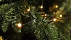 600 LED Christmas Lights (30m Lit Length) -Twinkly Shop 97d4bd12bafc5b5d2ee955ea2b0a394c69b08ced2fc7f78b0994b672e9ee2e4b