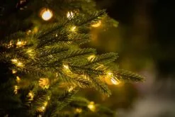 6ft Pre-lit Bedminster Spruce Feel-Real Artificial Christmas Tree With 550 Warm Lights 10 6ft Pre-lit Bedminster Spruce Feel-Real Artificial Christmas Tree With 550 Warm Lights -Twinkly Shop Bedminster Spruce 2 close up