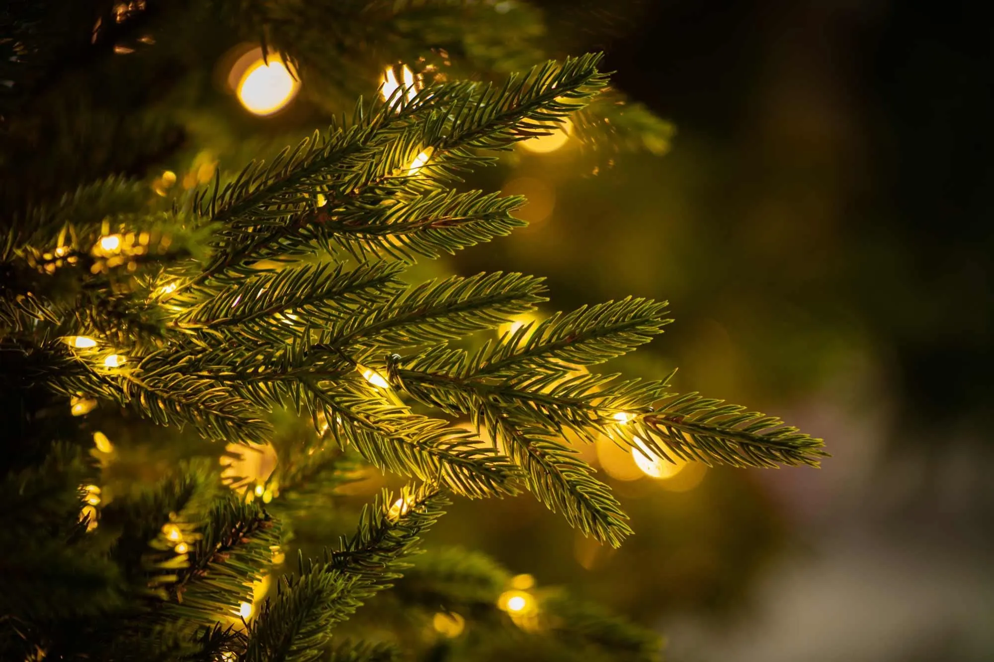 7ft Pre-lit Bedminster Spruce Feel-Real Artificial Christmas Tree With 700 Warm Lights 6 7ft Pre-lit Bedminster Spruce Feel-Real Artificial Christmas Tree With 700 Warm Lights - Image 4