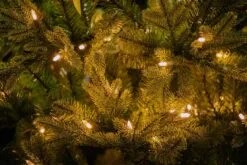 7ft Pre-lit Bedminster Spruce Feel-Real Artificial Christmas Tree With 700 Warm Lights 9 7ft Pre-lit Bedminster Spruce Feel-Real Artificial Christmas Tree With 700 Warm Lights -Twinkly Shop Bedminster Spruce Slim 1 close up 2 0
