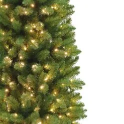 7ft Pre-lit Evergreen Spruce Green Pencil Artificial Christmas Tree 6 7ft Pre-lit Evergreen Spruce Green Pencil Artificial Christmas Tree -Twinkly Shop ESG2P 60LW5K350 crop 0