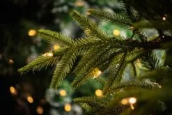 7.5ft Pre-Lit Frasier Grande Feel Real Luxurious Artificial Christmas Tree With 750 Warm Lights 9 7.5ft Pre-Lit Frasier Grande Feel Real Luxurious Artificial Christmas Tree With 750 Warm Lights -Twinkly Shop Frasier Grande 2 close yp