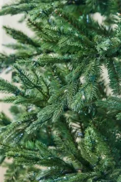 7ft Bedminster Spruce Feel-Real Artificial Christmas Tree 8 7ft Bedminster Spruce Feel-Real Artificial Christmas Tree -Twinkly Shop PEBI2 DYB95 75 28129 bedminster close up no lights 0