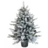 3ft Pre-lit Battery Operated Snowy Dorchester Pine Potted Feel-Real Artificial Christmas Tree 2 3ft Pre-lit Battery Operated Snowy Dorchester Pine Potted Feel-Real Artificial Christmas Tree -Twinkly Shop PEDH2 301LB 30 mine