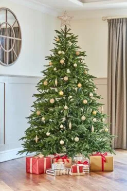 7.5ft Pre-Lit Frasier Grande Feel Real Luxurious Artificial Christmas Tree With 750 Warm Lights 10 7.5ft Pre-Lit Frasier Grande Feel Real Luxurious Artificial Christmas Tree With 750 Warm Lights -Twinkly Shop PEFG3 332LB 70S 28429 frasier grande lifestyle 0