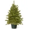 3ft Hampton Spruce Potted Feel-Real Artificial Christmas Tree -Twinkly Shop PEHA3 700 30 0
