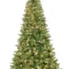 7ft Pre-lit Pinehurst Spruce Green Traditional Artificial Christmas Tree With Warm White LED's 1 7ft Pre-lit Pinehurst Spruce Green Traditional Artificial Christmas Tree With Warm White LED's -Twinkly Shop PHS pinehurst 1