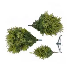 6ft Brewer Spruce Artificial Christmas Tree 24 6ft Brewer Spruce Artificial Christmas Tree -Twinkly Shop a51ad7f79c690336eab77cba7f697cba8d8b640c38d549ffc0b1a19ddb99a1da