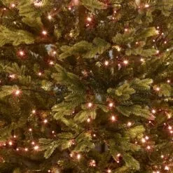 1000 LED Christmas Lights (50m Lit Length) 40 1000 LED Christmas Lights (50m Lit Length) -Twinkly Shop a6ad2655ef80da73beb2d86ed35efe7e6b6adc600669be991b81abbc6714a537 2