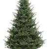 6ft Barrington Spruce Green Life Like Artificial Christmas Tree -Twinkly Shop barrington unlit new