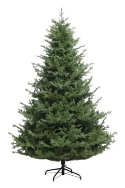 6ft Barrington Spruce Green Life Like Artificial Christmas Tree