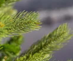 8ft Pre-lit Bayberry Spruce Pencil Feel-Real Artificial Christmas Tree -Twinkly Shop bayberry spruce 6ft slim detail6 8