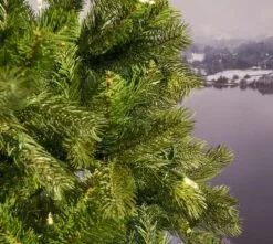 8ft Pre-lit Bayberry Spruce Slim Feel-Real Artificial Christmas Tree -Twinkly Shop bayberry spruce 7ft prelit slim detail 2