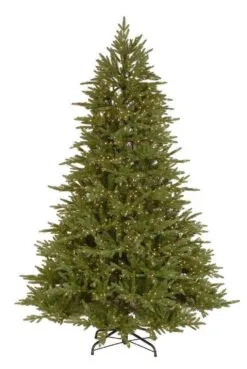 7ft Pre-lit Bedminster Spruce Feel-Real Artificial Christmas Tree With 700 Warm Lights