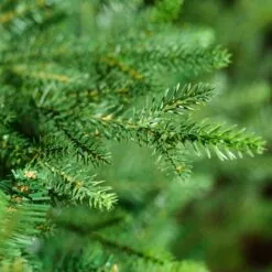 Kaemingk Everlands - 10ft Norway Spruce Artificial Christmas Tree -Twinkly Shop d061d40ece91dbd2ab849b470690c10866ea56cc746d066260a72758e490d799