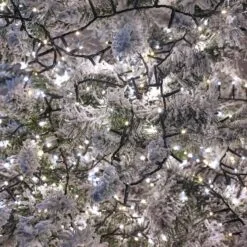 1000 LED Compact LED Christmas Tree Lights (25m Lit Length) -Twinkly Shop eaefa2bd2bfbcf4e6ce9f3ef8b20538d71b678be73af350ce3e5de3b3bac1e65