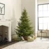 Kaemingk Everlands - 10ft Norway Spruce Artificial Christmas Tree