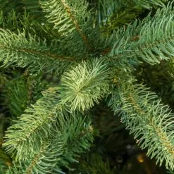 6.5ft Lakewood Spruce Feel Real Artifiial Christmas Tree 7 6.5ft Lakewood Spruce Feel Real Artifiial Christmas Tree -Twinkly Shop lakewood 1