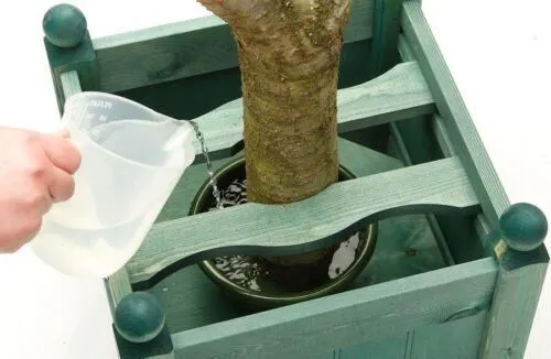 Large Christmas Tree Stand - Green 5 Large Christmas Tree Stand - Green - Image 3