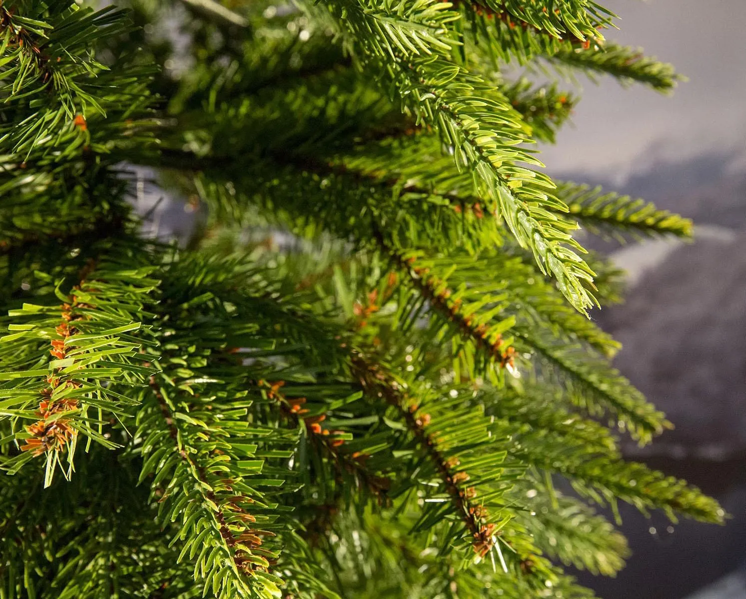 7ft Weeping Spruce Feel Real Slim Artificial Christmas Tree 5 7ft Weeping Spruce Feel Real Slim Artificial Christmas Tree - Image 3