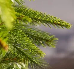 7ft Weeping Spruce Feel Real Slim Artificial Christmas Tree 10 7ft Weeping Spruce Feel Real Slim Artificial Christmas Tree -Twinkly Shop weeping spruce 7ft slim unlit detail2 2